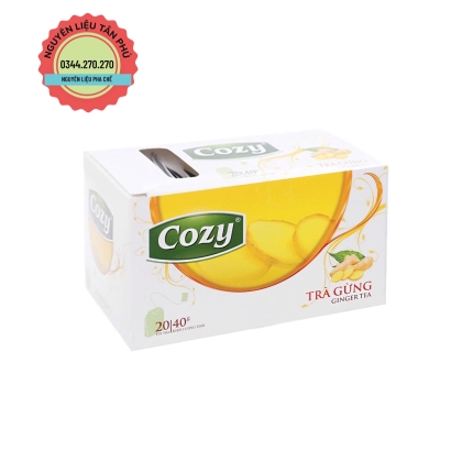 Trà Túi Lọc Cozy Hương Gừng Hộp 40g